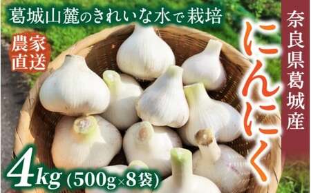 奈良県葛城産 にんにく 約4kg(500g×8袋)  【2026年5月上旬～7月下旬順次発送】 葛城市【smlk066】