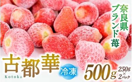 ブランド苺 冷凍 古都華 約500g [250g×2パック] [2026年5月上旬〜6月下旬に順次発送]/ 若手農家 地域応援 古都華 いちご 冷凍いちご イチゴ 苺 奈良 奈良県産 葛城市 産直 高級 甘い 濃厚 あかい フルーツ 限定 果物 旬 スイーツ ギフト ふるさと納税 人気 ランキング 1位[smlk029]