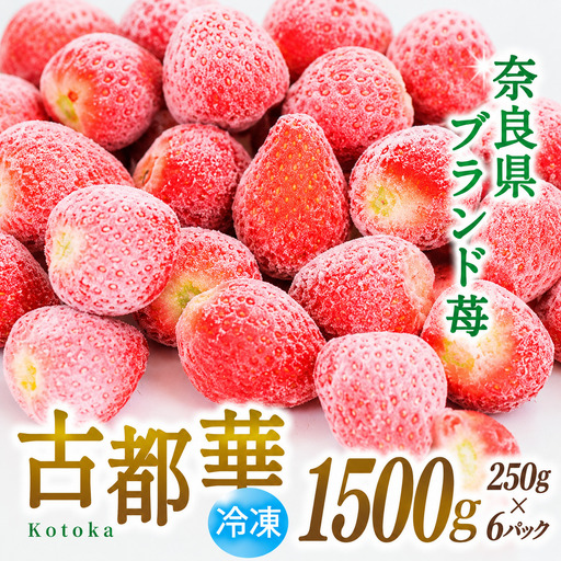 いちご 冷凍 古都華 約1.5kg [250g×6パック] 【2026年5月上旬～6月下旬に順次発送】葛城市【smlk031】