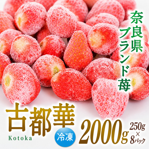 いちご 冷凍 古都華 約2kg [250g×8パック] 【2026年5月上旬～6月下旬に順次発送】葛城市【smlk032】