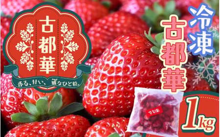 古都華 冷凍いちご 1kg 奈良県 葛城市[nsdf005]