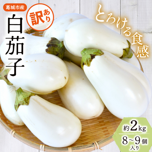 茄子 [訳あり]とろ〜り旨なす(白茄子) 約2kg 8〜9個[2026年7月初旬〜9月末頃順次発送]奈良県 葛城市[bfrk002]