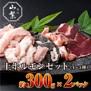 Y F Fɋ Y јa  z 4`5 300g×2 / F R ӂ邳Ɣ[  ē A lC BBQ LO  O  ԗi i 