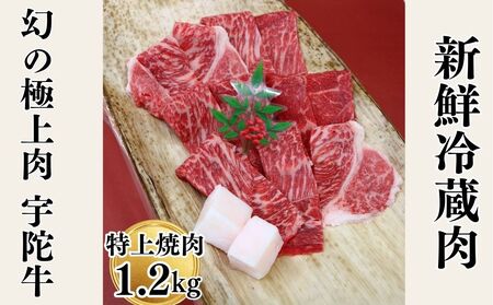 Y F Fɋ Y јa  ē 1.2kg `h / F R ӂ邳Ɣ[  A lC o[xL[ Lv t LO  O  ԗi 
