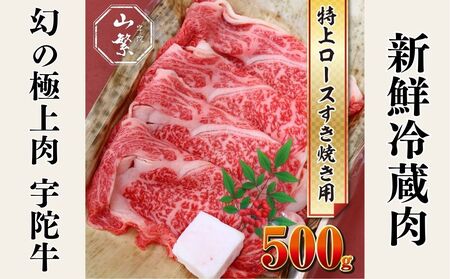 Y F Fɋ Y јa  [X Ă 500g `h / F R ӂ邳Ɣ[  lC Mtg t LO  O  ԗi i  