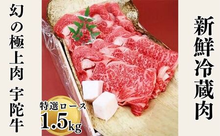 Y F Fɋ I [X  Ă 1.5kg Y јa `h / R ӂ邳Ɣ[  lC BBQ Lv t LO   O  ԗi 