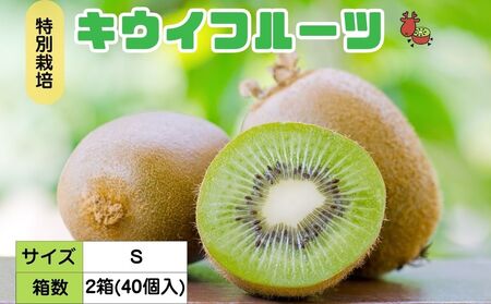 [12月以降順次発送]こだわり プレミアムキウイフルーツ Sサイズ 20個入×2箱 追熟処理済 / ふるさと納税 キウイ キウイフルーツ ギフト 栄養 果物 お土産 化学肥料不使用 特別栽培 塩 奈良県 宇陀市 やまとファームJAPAN