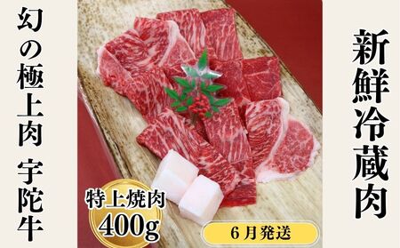 2026N6Y F Fɋ Y јa  ē 400g `h / F R ӂ邳Ɣ[  A lC o[xL[ Lv t LO  O  ԗi 