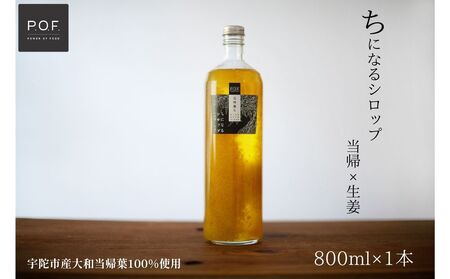 ちになるシロップ 大和当帰×生姜 800ml 1本/POWER OF FOOD ふるさと納税 生姜 シロップ 瓶 ガラス瓶 国産 食材 炭酸 大和当帰葉 有機 お湯割り 甜菜糖 ハチミツ はちみつ 送料無料 ち 奈良県 宇陀市