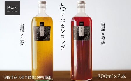 ɂȂVbv aA800ml × 2Zbg ^POWER OF FOOD ӂ邳Ɣ[ 䉖 I Vbv r KXr Y H Y_ aAt L@  [ؓ n`~c ݂͂  
