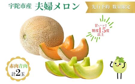 糖度15度以上 !![令和7年産先行予約受付中 / 数量限定]宇陀市産 夫婦メロン 計2玉(青肉・赤肉 各1玉ずつ)/ みやび農園 メロンセット 贈答 贈り物 紅白お祝い 食べ比べ 奈良県 宇陀市 ふるさと納税