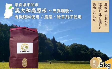 V^ࣖ a ߘa7NY  5kg ^ ӂ邳Ɣ[ _    R Y V  ꓙ _Ƃ܂ L@엿gp _sgp ܕsgp ޗǌ F