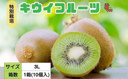[12月以降順次発送]プレミアム キウイ フルーツ 3L サイズ 10個入 追熟処理済 / ふるさと納税 キウイ キウイフルーツ ギフト 栄養 果物 お土産 化学肥料不使用 特別栽培 塩 奈良県 宇陀市 やまとファームJAPAN