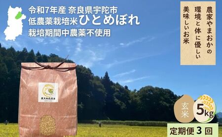 [令和7年産・先行予約][毎月定期便3回] ひとめぼれ 玄米 5kg 9月末より順次発送 / ふるさと納税 低農薬 米 お米 こめ コメ 国産 新米 玄米 農家やまおか 奈良県 宇陀市