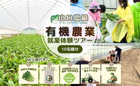有機農業 就業体験 ツアー お土産付 10名様迄/ 収穫体験 種まき トラクター 農家 有機野菜 オーガニック 無農薬 SDGs 関西 チケット カレー 山口農園 奈良県 宇陀市 ふるさと納税