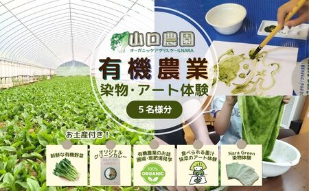 有機農業 染物 アート 体験 お土産付 5名様迄/ 畑見学 食べられる染料 Nara Green 抹菜 農家 有機野菜 オーガニック 無農薬 SDGs 関西 チケット カレー 山口農園 奈良県 宇陀市 ふるさと納税