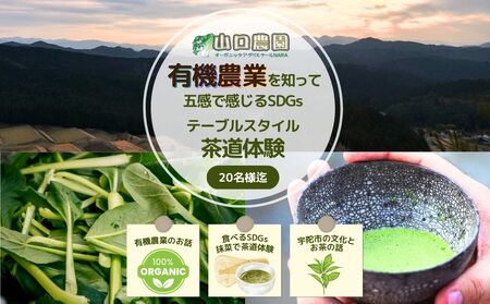 有機農業 を知って五感で感じる SDGs テーブル スタイル 茶道体験 20名様迄/ Nara Green 抹菜 オーガニック ビレッジ 薬草 茶の本 農家 有機野菜 無農薬 関西 チケット 山口農園 奈良県 宇陀市 ふるさと納税