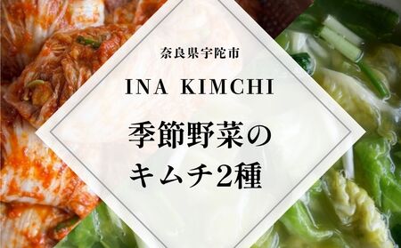 季節野菜のキムチ500g×2種類/ ふるさと納税 キムチ ふるさと 白菜 キャベツ 大根 赤キムチ 白キムチ 料理 グルメ INA Lab INA KIMCHI 取り寄せ 室生 奈良県 宇陀市