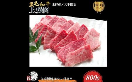 јa߂ ē 800g Ɛē̂t ^ ӂ邳Ɣ[ ē Mtg Zbg H јa  o    Ε  a Hו ޗǌ FɎs 
