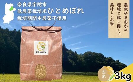 ひとめぼれ 低農薬栽培[令和7年産 玄米 3kg ] / ふるさと納税 低農薬 米 お米 こめ コメ 国産 新米 玄米 一等米 農家やまおか 奈良県 宇陀市