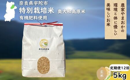 y12zʍ͔| ߘa7NY  5kg / ӂ邳Ɣ[ ͔|Ԓ_sgp    R Y V  _Ƃ܂ ޗǌ FɎs