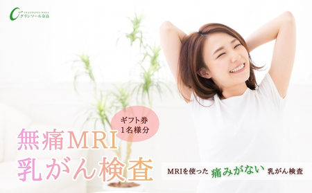グランソール奈良 無痛MRI乳がん検査 1名様分/ 検診 婦人科検診 検査 乳がん 無痛 MRI 母の日 敬老の日 ギフト プレゼント 奈良県 宇陀市 ふるさと納税