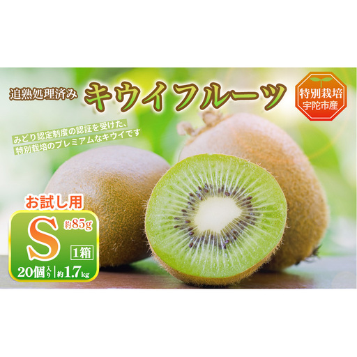 [12月〜3月発送]プレミアム キウイ フルーツ Sサイズ 20個入 お試し 追熟処理済 / ふるさと納税 キウイ キウイフルーツ 訳あり 栄養 果物 化学肥料不使用 特別栽培 奈良県 宇陀市 やまとファームJAPAN