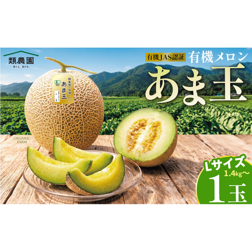 [期間限定]有機メロン「あま玉」1玉 Lサイズ 1.4kg〜[R8年7月15日より順次発送]