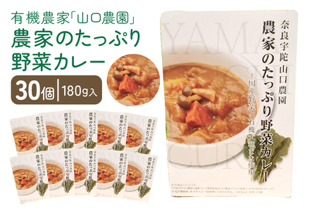 農家のたっぷり野菜カレー 30個/山口農園 有機野菜 オーガニック 伝統野菜 レトルト 詰め合わせ カレー ギフト カレーセット スパイス 飯 キャンプお取り寄せ 奈良県 宇陀市 送料無料 おかず ご当地 簡単 お歳暮 暑中見舞い 保存 時短 国産 保存食 ふるさと納税野菜 オーガニック 