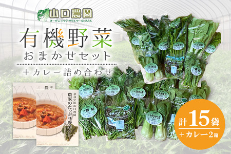 (チルド)山口農園 有機野菜 おまかせセット + カレー2箱 詰合せ / 山口農園 有機野菜 伝統野菜 オーガニック ベジタリアン 定期便 カレー 無農薬 セット 送料無料 無農薬 農家直送 ふるさと納税 詰め合わせ 奈良県 宇陀市 ふるさと納税 オーガニック チルド 