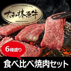 (冷凍) 大和榛原牛 焼肉 6種盛り/うし源本店 黒毛和牛 A5 キャンプ ロース カルビ モモ ミスジ ウデ イチボ 父の日 奈良県 宇陀市 お中元 贈答用 贈り物 暑中見舞い お土産 お土産 歳暮 内祝いまとめ買い 美味しい部位 キャンプ 送料無料 食べ比べ セット 盛り合わせ