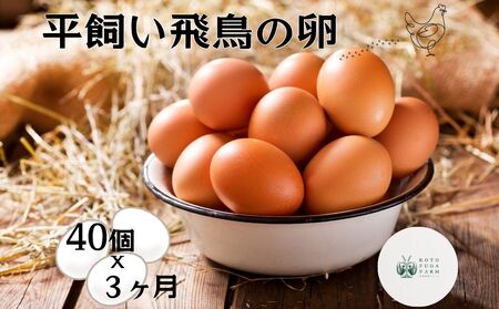 定期便 3ヶ月 美味しい 平飼い 飛鳥の卵 40個 冷蔵 月1回 / 古都 風雅 ファーム たまご 玉子 鶏 卵 取り寄せ 新鮮 生食 安心 安全 健康卵 飛鳥 オーガニック 非遺伝子組み換え 奈良県 宇陀市