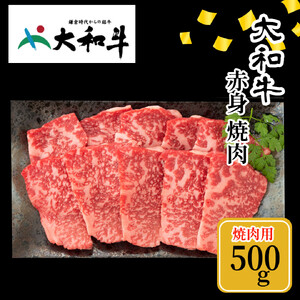 (Ⓚ) a Ԑg ē 500g ^ {Y ē o[xL[ Lv AEghA ̓ ̓ ޗǌ FɎs  p 蕨  yY Ε j  