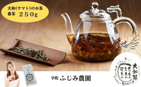 大和(ヤマト)のお茶 ほうじ茶ティーパック 3袋