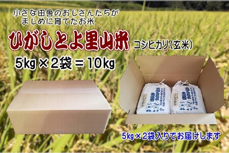 yߘa7NYzЂƂ既R 10kg(5kg×2)