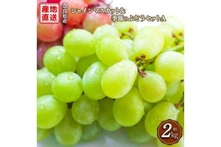 シャインマスカットと季節のぶどう セットA(4房入り)約2kg | フルーツ 果物 くだもの ぶどう 葡萄 ブドウ シャイン マスカット 奈良県 平群町 季節 セット