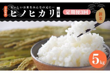[ 定期便 3回 ]新米 奈良県産 ヒノヒカリ 精米 5kg ( 計15kg ) 米