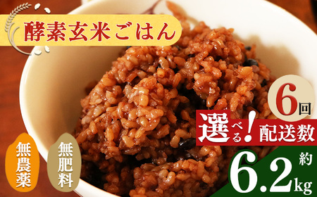 【 定期便 6回】  酵素玄米ごはん(長岡式)約6.2kg×6回| 玄米 げんまい ゲンマ イ 酵素玄米  美容 健康 酵素 パウチ 冷凍 ヘルシー 米 奈良県 平群町