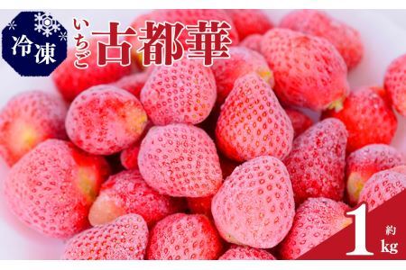 平群の古都華 冷凍いちご ミックスサイズ 1kg | フルーツ 果物 くだもの いちご 苺 イチゴ 古都華 ことか 冷凍 ミックス スムージー 奈良県 平群町 扇田農園