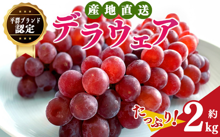 デラウェア L〜2L (11〜16房) 約2kg | フルーツ ぶどう 葡萄 ブドウ デラ ウェア 奈良県 平群町