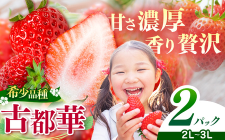 平群 の 古都華 2L 〜 3L サイズ (2パック 1ケース) 計2パック OKADAファーム 