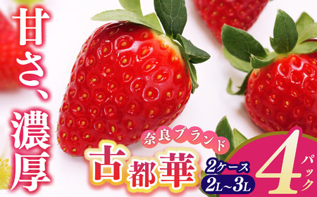 平群の古都華 2L〜3Lサイズ (2パック 2ケース) 計4パック 辻本農園 | 果物 くだもの フルーツ 苺 イチゴ いちご ストロベリー 古都華 ことか 旬の品種 産地直送 奈良県 平群町