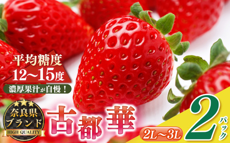 平群の古都華 2L〜3Lサイズ 1ケース (2パック) | 先行予約 フルーツ 果物 くだもの ブランド いちご 苺 古都華 ことか 品種 特徴 糖度 ルビー色 旬 ふるさと納税 奈良県 平群 町
