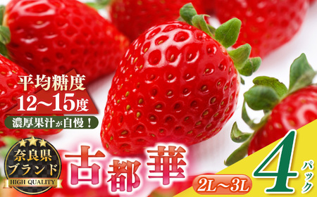 平群の古都華 2L〜3Lサイズ 2ケース (4パック) | 先行予約 フルーツ 果物 くだもの ブランド いちご 苺 古都華 ことか 品種 特徴 糖度 ルビー色 旬 ふるさと納税 奈良県 平群 町