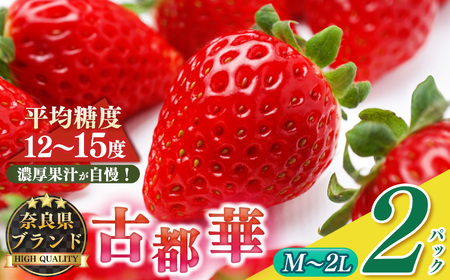平群の古都華 サイズおまかせ(M〜2Lサイズ)1ケース (2パック) | 先行予約 フルーツ 果物 くだもの ブランド いちご 苺 古都華 ことか 品種 特徴 糖度 ルビー色 旬 ふるさと納税 奈良県 平群 町