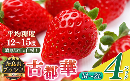 平群の古都華 サイズおまかせ(M〜2Lサイズ)2ケース (4パック) | 先行予約 フルーツ 果物 くだもの ブランド いちご 苺 古都華 ことか 品種 特徴 糖度 ルビー色 旬 ふるさと納税 奈良県 平群 町