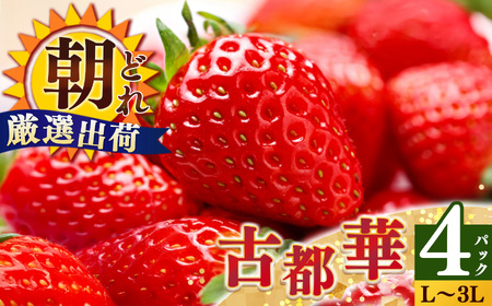平群の古都華 いちご L~3Lサイズ から2種(2パック2ケース)計4パック 苺屋小東 