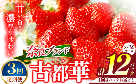 y3z Q̌Ós S`MTCY 4pbNi2pbN×2P[Xj| t[c ʕ  uh   Ós Ƃ  󏭕i Xgx[ Yn _ƒ Y