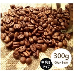 発送当日珈琲豆焙煎!スペシャルティ珈琲豆100g×3種類(中挽き)