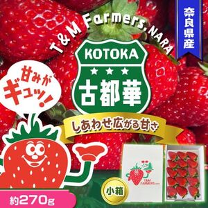 @Ós؁EƂ 1pbN(8`15)yzsnFEkCEꌧEkzy1605677z